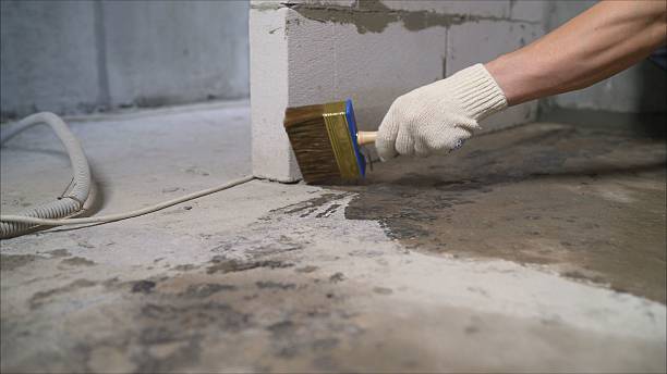 SJ Waterproofing Pros Crawl Space Encapsulation coverage map for New Prague, MN and surrounding area